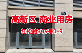 序号09：红松路309号1-9